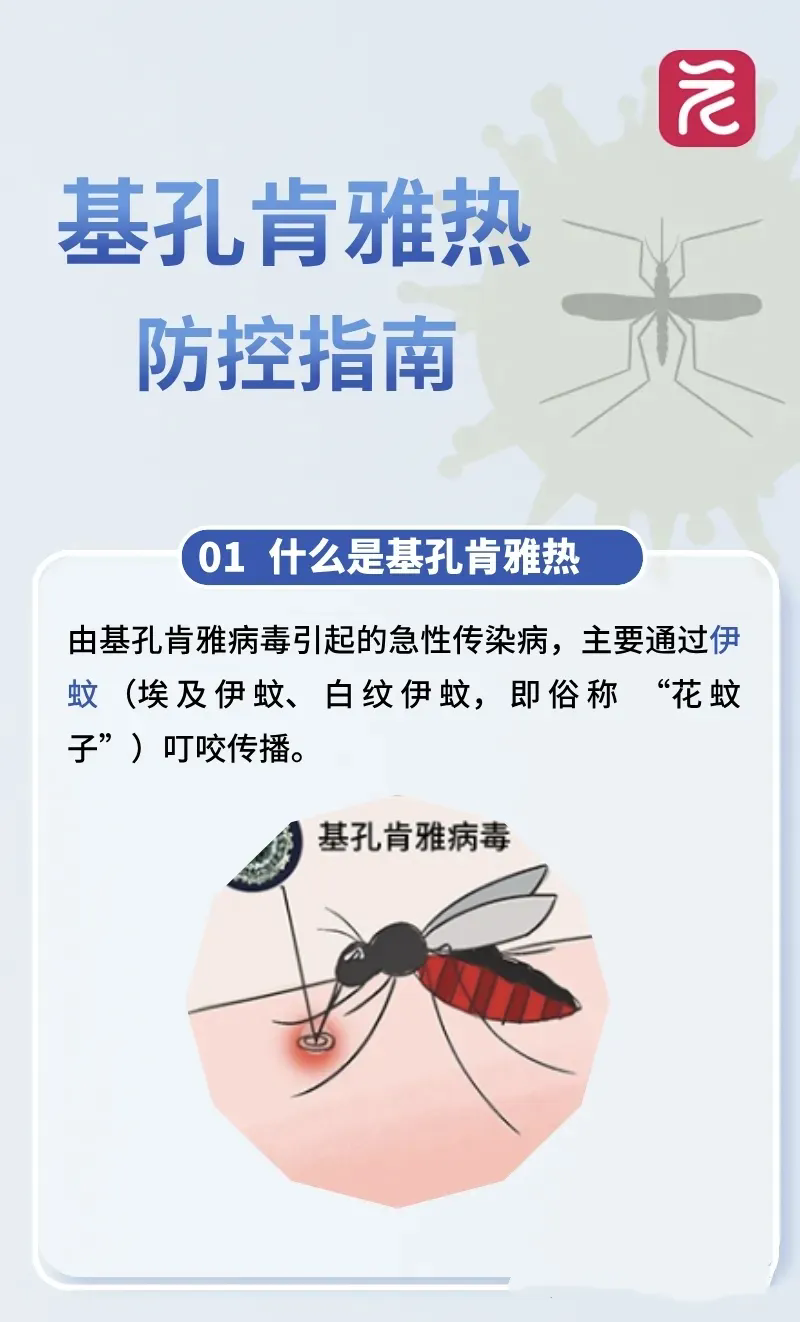 8f4d6c5a8c8f4d37a71a7391dd9db93a-sz_273251.webp.png