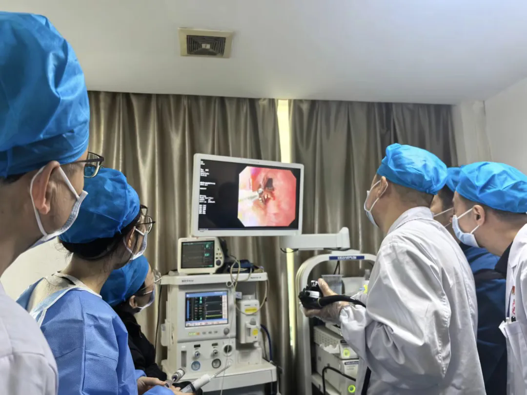 1764810533527017970.png 2c2b1e0b2b1864d0674fe35ae913a70f-sz_208699.webp.png